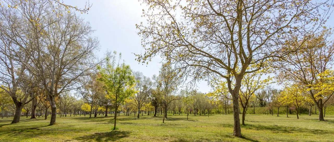 Goldhome - Puigmalc Empuriabrava
